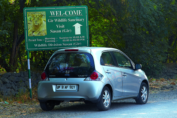 Discover India: Gir Sanctuary - Image 2